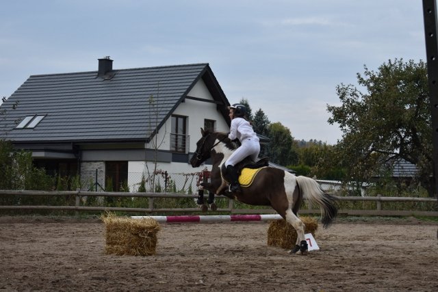 bABIE lATO 2018